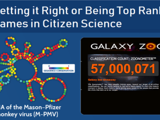 Games in Citizen Science